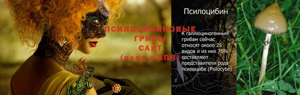 эйфоретик Аркадак