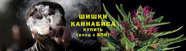 прущие грибы Арсеньев