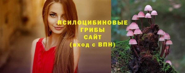 прущие грибы Арсеньев