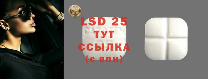 прущие грибы Арсеньев
