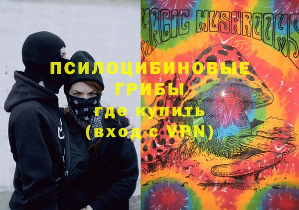 эйфоретик Аркадак
