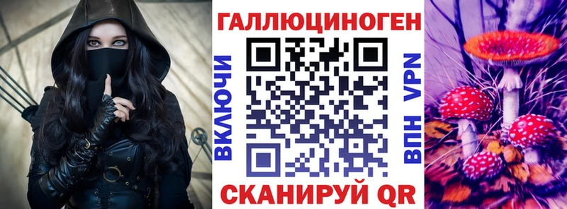 Псилоцибиновые грибы Psilocybine cubensis  Почеп 