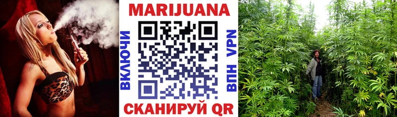 Бошки Шишки Bruce Banner нарко площадка наркотические препараты Почеп где можно купить